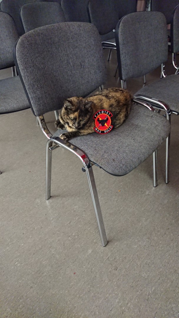 Buchenau_2022 (256).jpg